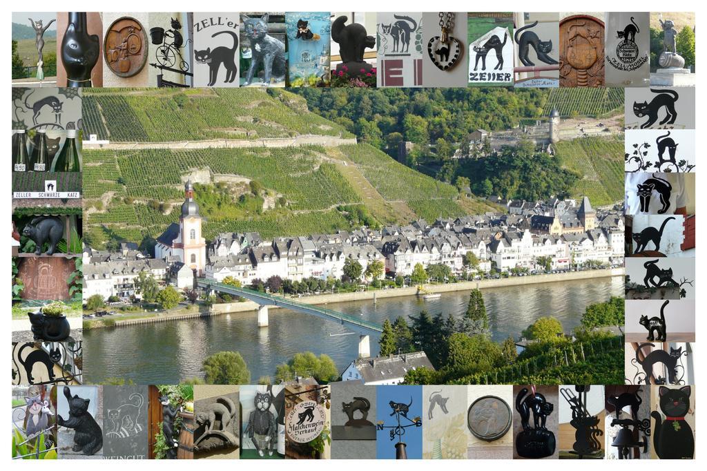 B&B Pension Winzerhaus Zell-Mosel Extérieur photo
