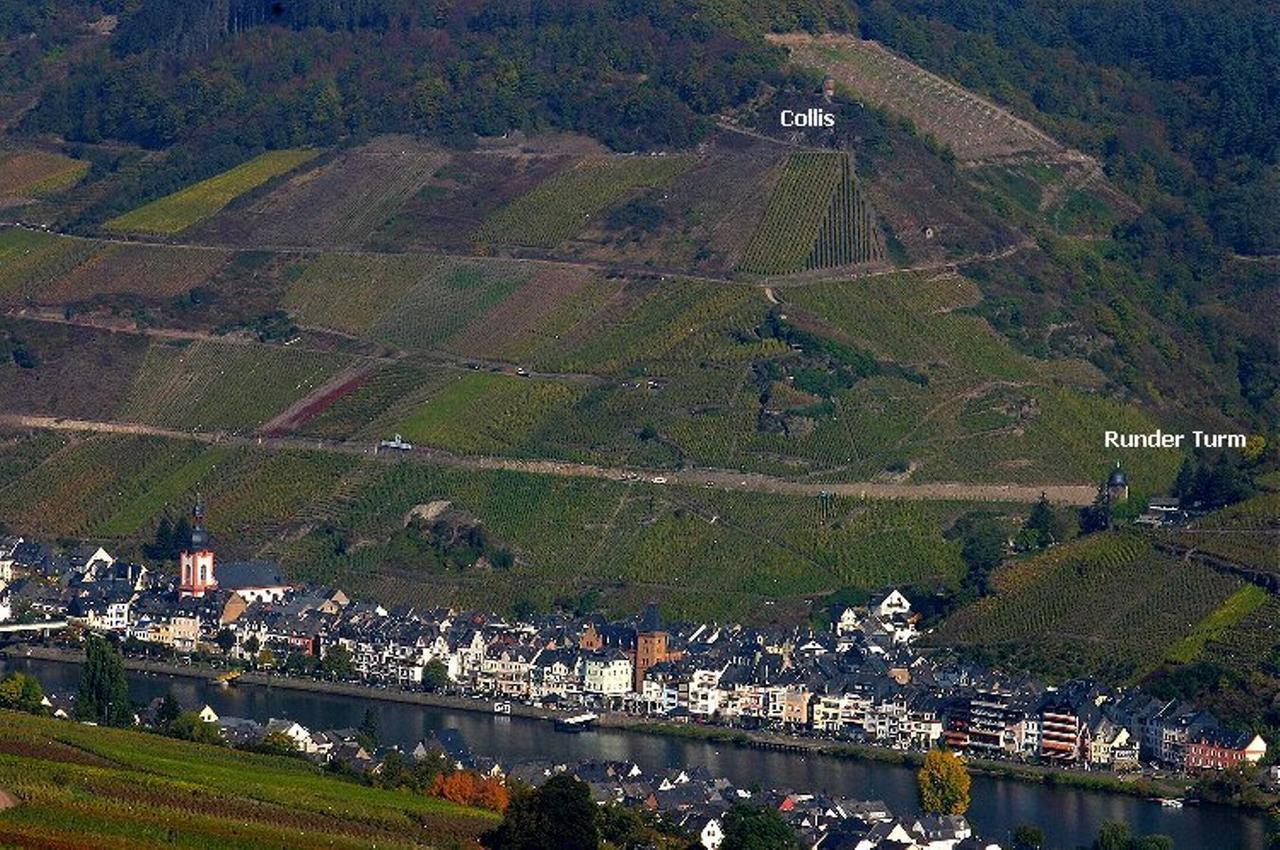 B&B Pension Winzerhaus Zell-Mosel Extérieur photo